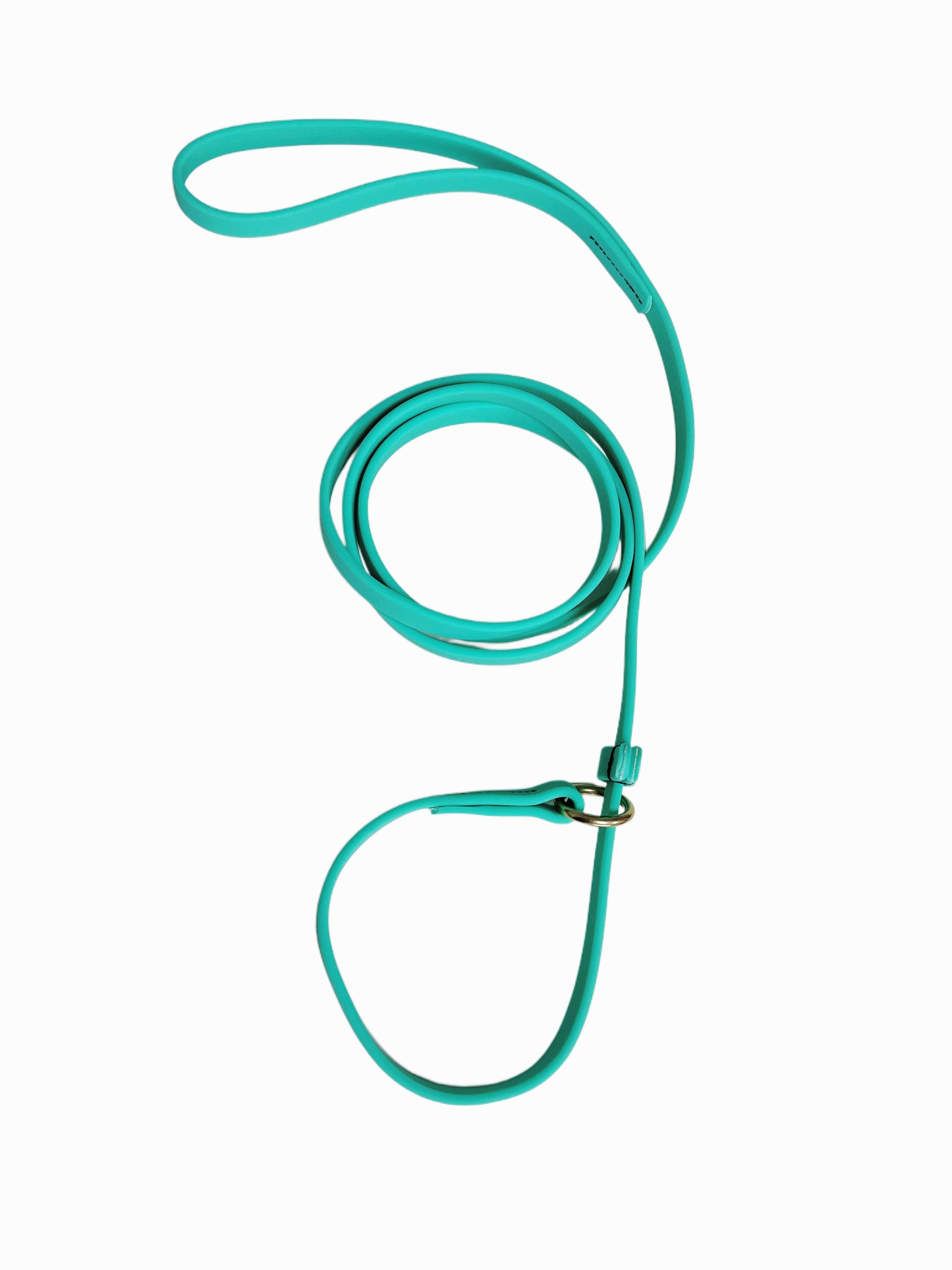 רצועת סליפ ליש לכלב עשויה מביאוטן- עם קולר חנק מובנה טורקיז - FOR DOG TRAINERS- ISRAEL