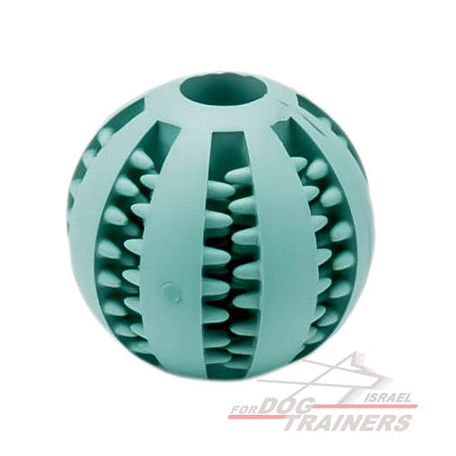כדור לכלב להיגיינת פה טובה יותר 7 ס"מ - גדול - FOR DOG TRAINERS- ISRAEL