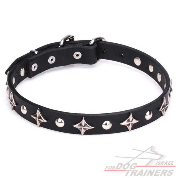 חדש! קולר לכלב מעור בעיצוב בלעדי - FOR DOG TRAINERS- ISRAEL