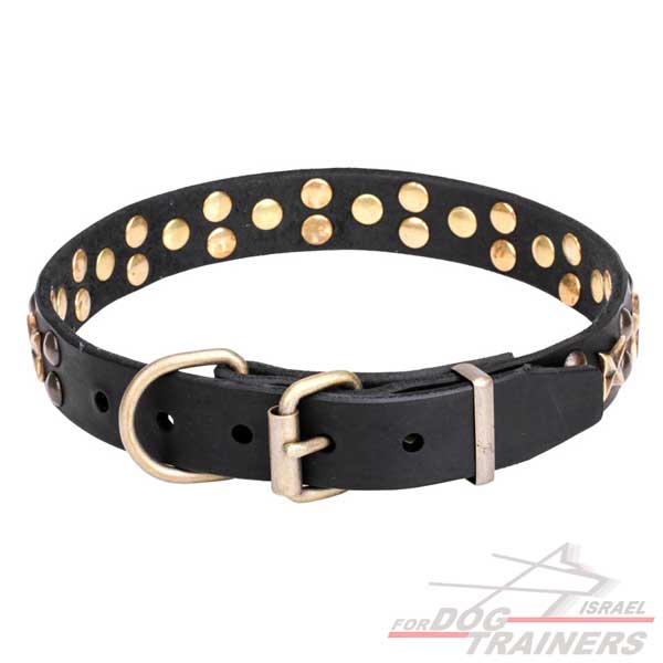 חדש! קולר לכלב מעור מעוצב - FOR DOG TRAINERS- ISRAEL