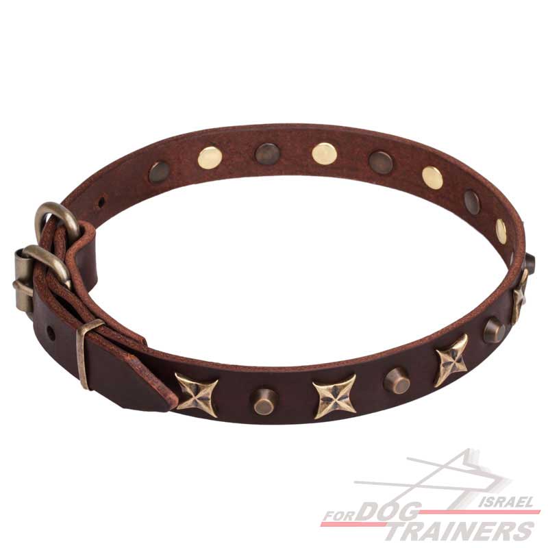 חדש! קולר לכלב מעור בעיצוב מיוחד - FOR DOG TRAINERS- ISRAEL