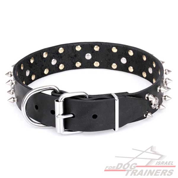 חדש! קולר לכלב מעור דקורטיבי - FOR DOG TRAINERS- ISRAEL