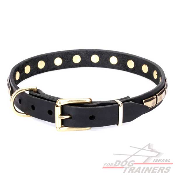 חדש! קולר לכלב מעור מאובזר בקישוט דקורטיבי - FOR DOG TRAINERS- ISRAEL