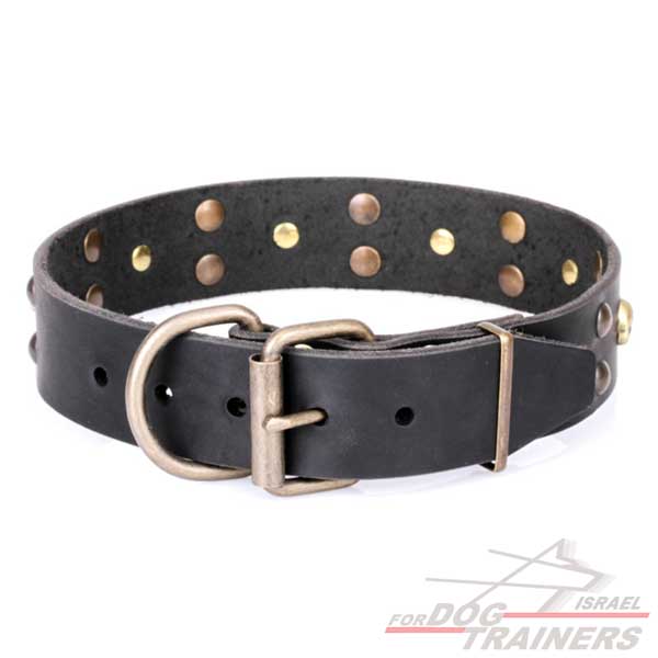 חדש! קולר לכלב מעור דקורטיבי - FOR DOG TRAINERS- ISRAEL