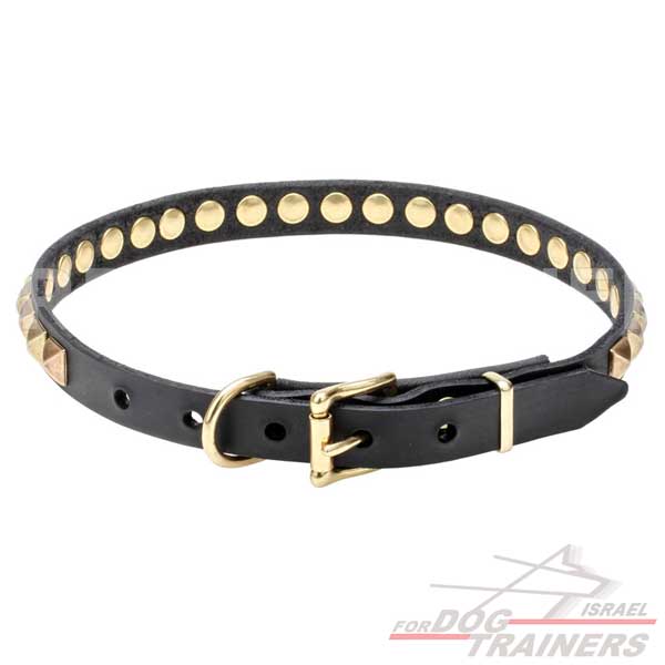 עיצוב חדש! קולר לכלב מעור עם קישוט אופנתיות - FOR DOG TRAINERS- ISRAEL