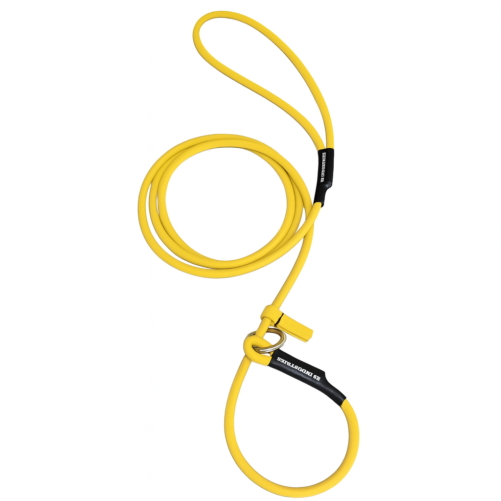 רצועת לאסו/ רצועת סליפ ליש לכלב עשויה מביאוטן עגול- עם קולר חנק מובנה 6 מ"מ- צהוב