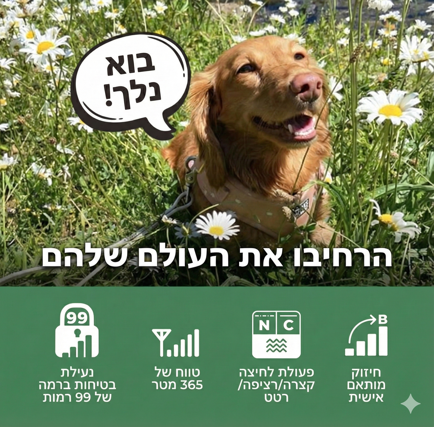 חדש! דוגטרה קולר אלקטרוני- קולר אילוף חשמלי Dogtra IQ FLEX (CUE GEN2)