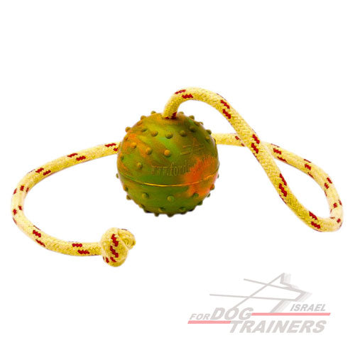 כדור על חבל עשוי גומי חלול - גודל בינוני 6 ס"מ - FOR DOG TRAINERS- ISRAEL