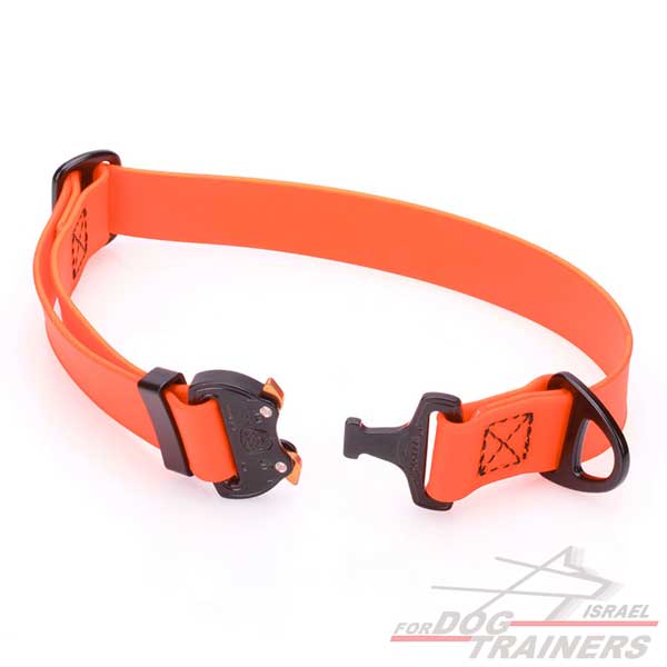 קולר מתכוונן לכלב בצבע כתום בוהק- עם נעילת קוברה מקורית - FOR DOG TRAINERS- ISRAEL