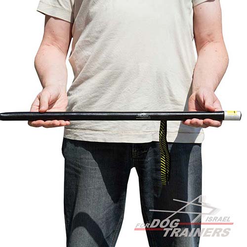 ציוד התססה - מקל הרגזה לאילוף כלבים - FOR DOG TRAINERS- ISRAEL