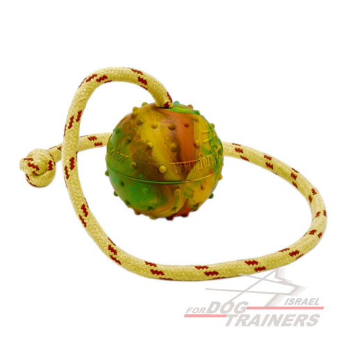 כדור אימון לכלבים על חבל עשוי גומי מוצק - גודל גדול 7 ס"מ - FOR DOG TRAINERS- ISRAEL