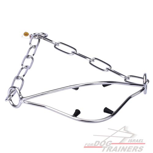 קולר שומר פרווה לתערוכות מנירוסטה ליציבה נכונה של הכלב - FOR DOG TRAINERS- ISRAEL