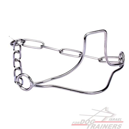 גאוות הזוכה" קולר כלב איכותי מנירוסטה לתערוכות עם חוליות שומרות פרווה - FOR DOG TRAINERS- ISRAEL
