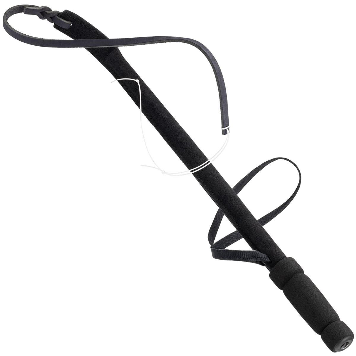 ציוד התססה - שוט הרגזה לאילוף כלבים - FOR DOG TRAINERS- ISRAEL