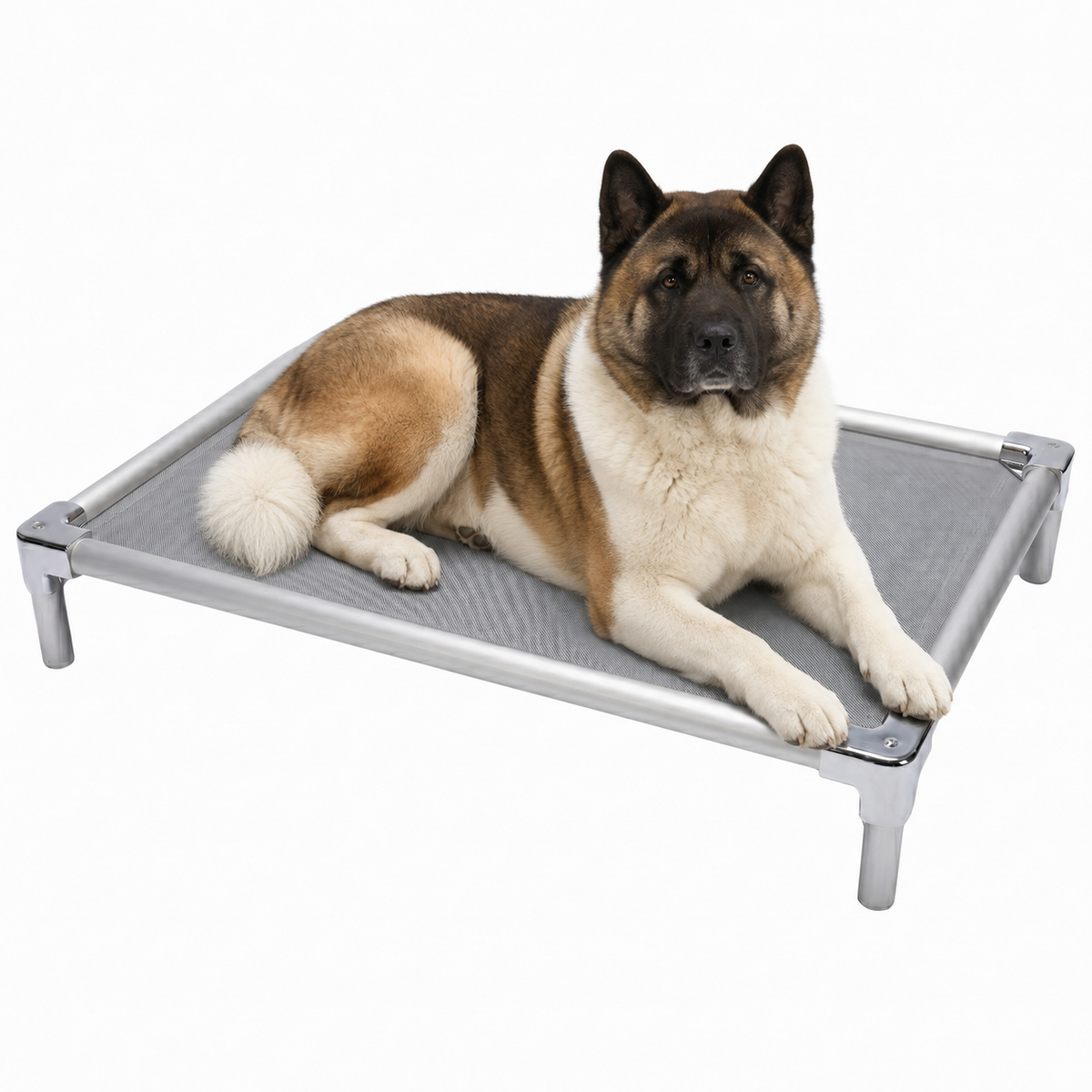 מיטת אלומיניום אורטופדית מורמת לאקיטה - FOR DOG TRAINERS ישראל