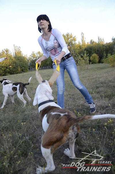 פפירול לכלב לאימוני נשיכה - עשוי בעבודת יד - FOR DOG TRAINERS- ISRAEL