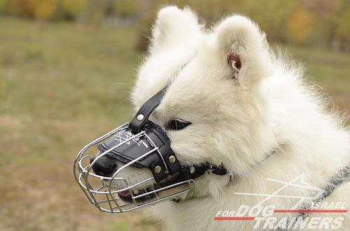 זמם לכלב עשוי מתכת דמוי סל - FOR DOG TRAINERS- ISRAEL