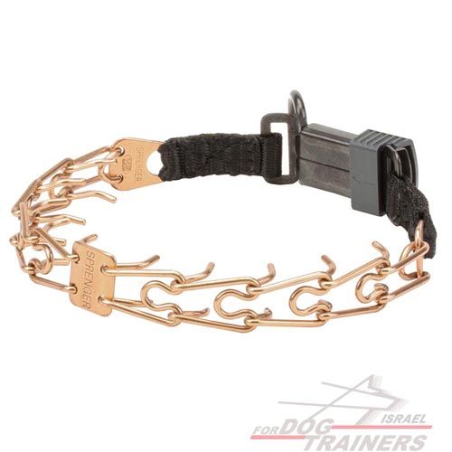 קולר דוקרנים עשוי קורגן- נעילה בקליק (לכלבים קטנים) - FOR DOG TRAINERS- ISRAEL
