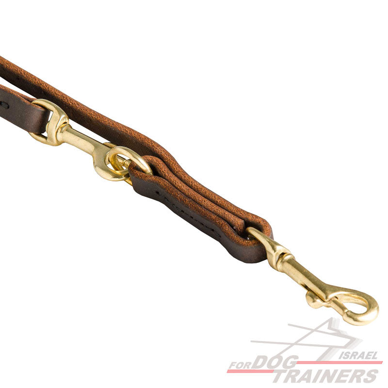 רצועת עור לכלב רבת מצבים לטיולים ולאימונים - FOR DOG TRAINERS- ISRAEL