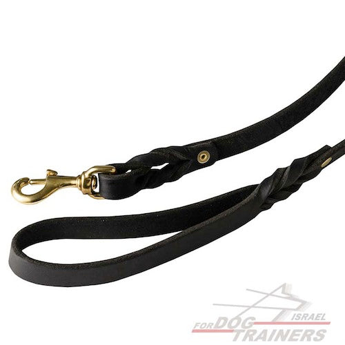 רצועת עור לכלב באיכות גבוהה לטיולים ולאימונים - FOR DOG TRAINERS- ISRAEL