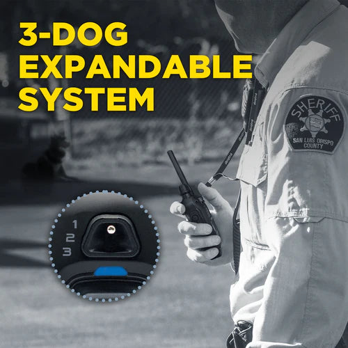 Dogtra 1200X Black Edition (1900X Black) - מבט נוסף על הקולר השחור - דוגטרה