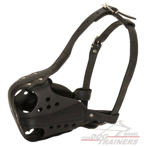 חדש! מחסום פה לכלב מיועד לכלבים עובדים - FOR DOG TRAINERS- ISRAEL