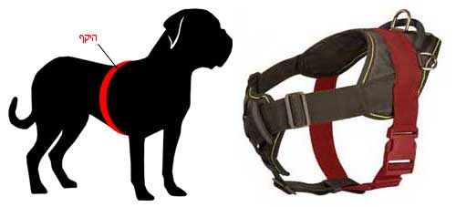 חדש! רתמה לכלב באיכות מעולה לשליטה מירבית - FOR DOG TRAINERS- ISRAEL