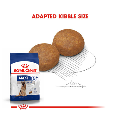 Royal Canin רויאל קנין מקסי מצ'ור 15 ק"ג