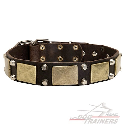 קולר לכלב מדהים מסגנון מלחמתי-אצילי - FOR DOG TRAINERS- ISRAEL
