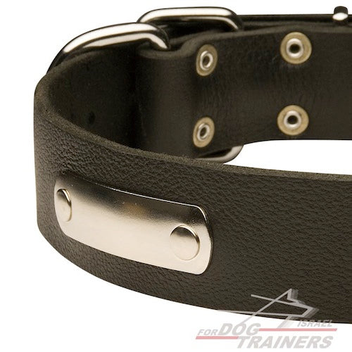 קולר עור עם תג שם בחריטה אישית! - FOR DOG TRAINERS- ISRAEL