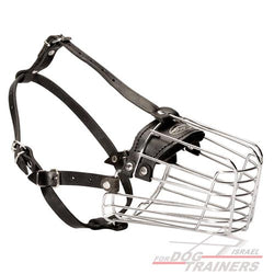 זממים/ מחסומים לכלבים