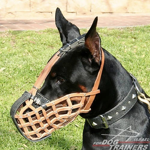 מחסום פה לכלב בצורת סל מעור בסגנון משטרתי לאימוני תקיפה - FOR DOG TRAINERS- ISRAEL
