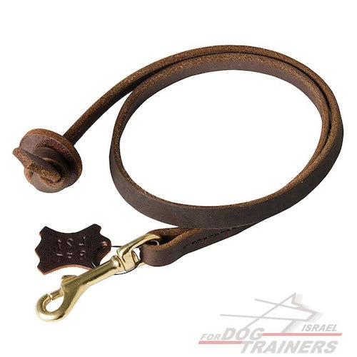 רצועת כיס מקצועית מעור לכלב לאימונים - FOR DOG TRAINERS- ISRAEL