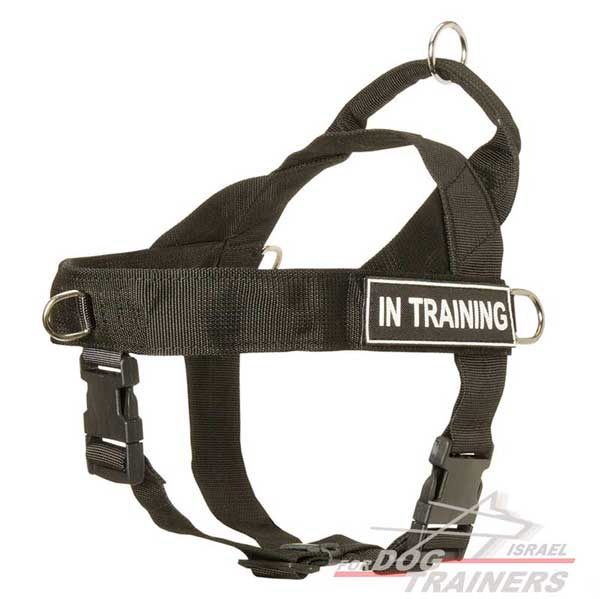 רתמה לכלב מניילון לסחיבה / גרירה, גישוש, חיפוש והצלה ולאימונים - FOR DOG TRAINERS- ISRAEL