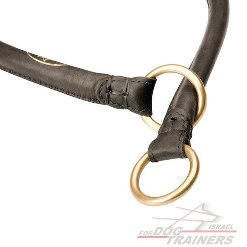 חדש! קולר חנק שקט מעור לאימונים- 12 מ"מ - FOR DOG TRAINERS- ISRAEL