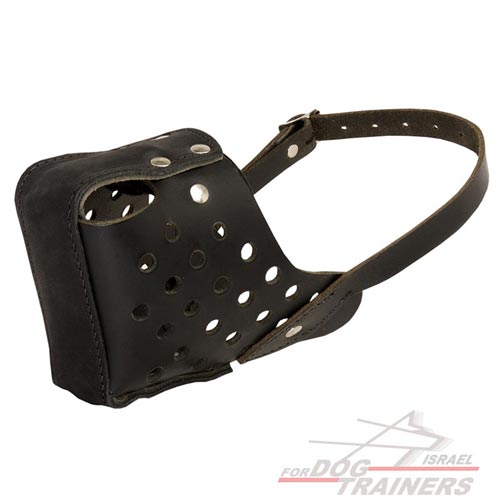 זמם לכלב הטוב ביותר לאימוני תקיפה והגנה לכלבים - FOR DOG TRAINERS- ISRAEL