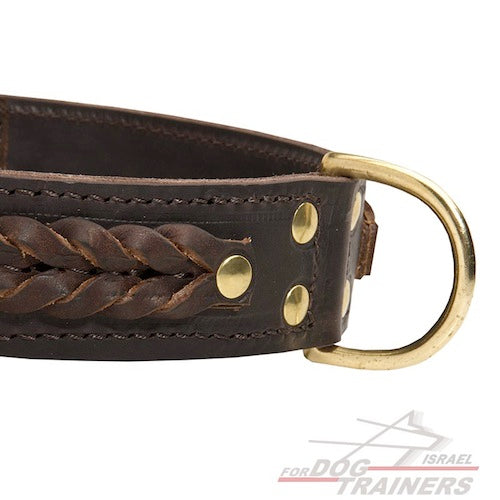קולר עור רחב במיוחד לכלבים בינוניים-גדולים - FOR DOG TRAINERS- ISRAEL