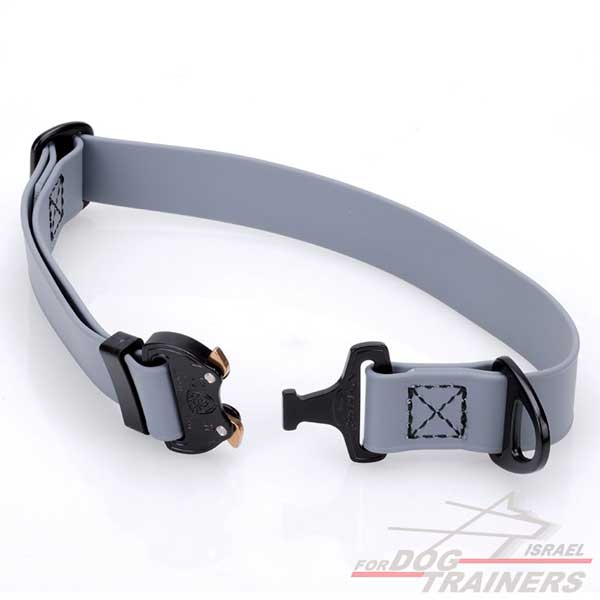 קולר מתכונן לכלב מביאוטן- בצבע אפור+ נעילת קוברה מקורית - FOR DOG TRAINERS- ISRAEL