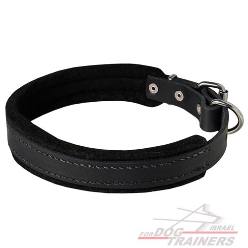 קולר לכלב מרופד מעור - ברוחב 2.5 ס"מ - FOR DOG TRAINERS- ISRAEL