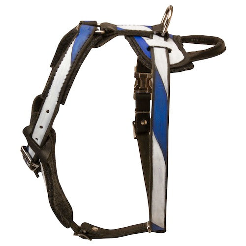 רתמת עור לכלב "ארץ הקודש" לגישוש ולהליכות - FOR DOG TRAINERS- ISRAEL