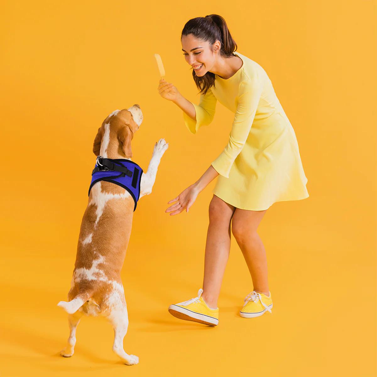 רתמת רשת לכלב דגם לוס אנג'לס- דוגליין - FOR DOG TRAINERS- ISRAEL