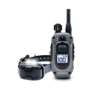 קולרים אלקטרונים- דוגטרה DOGTRA