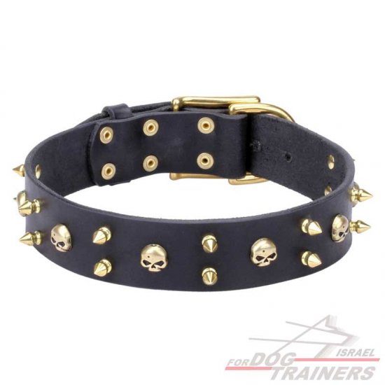 חדש! קולר לכלב מעור כמו בסרטים - FOR DOG TRAINERS- ISRAEL