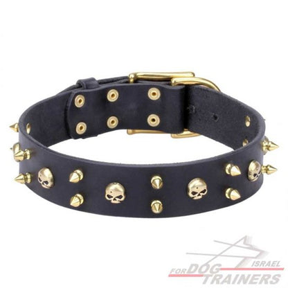 חדש! קולר לכלב מעור כמו בסרטים - FOR DOG TRAINERS- ISRAEL