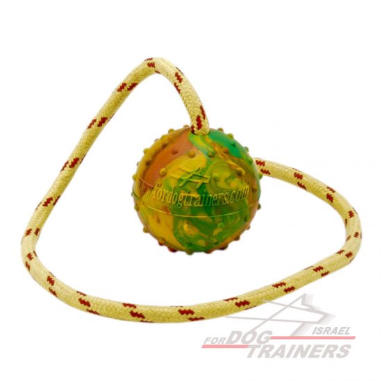 כדור אימון לכלבים על חבל עשוי גומי מוצק - גודל גדול 7 ס"מ - FOR DOG TRAINERS- ISRAEL