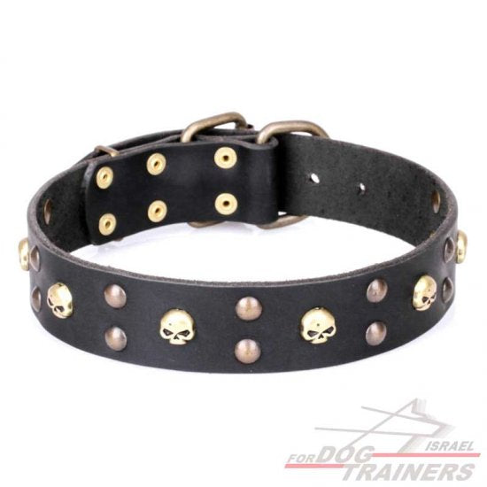 חדש! קולר לכלב מעור דקורטיבי - FOR DOG TRAINERS- ISRAEL