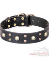 חדש! קולר לכלב מעור דקורטיבי - FOR DOG TRAINERS- ISRAEL
