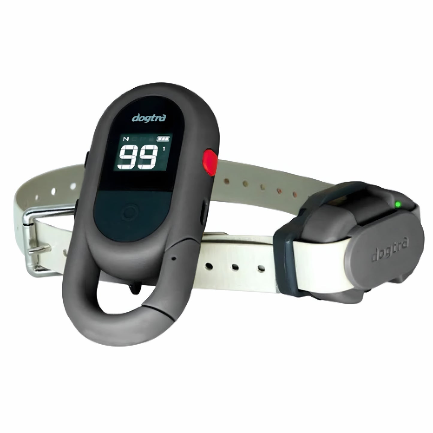 חדש! דוגטרה קולר אלקטרוני- קולר  אילוף חשמלי Dogtra IQ FLEX (CUE GEN2)