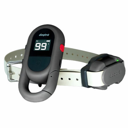 חדש! דוגטרה קולר אלקטרוני- קולר  אילוף חשמלי Dogtra IQ FLEX (CUE GEN2)