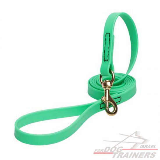 Green durable dog leash with metal clip for professional dog training